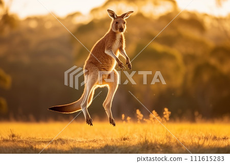 Kangaroo jump on meadow by Generative AI 111615283