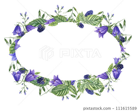 Frame with ripe aromatic Blackberries, meadow Herbs and Flowers. Berries, campanula, avena. Dewberry, bramble. Watercolor illustration for template, package. Space for text 111615589