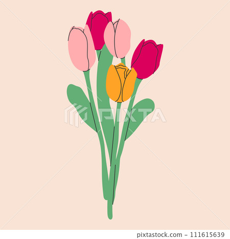 Tulips flowers.Spring floral isolated elements on white background. Blossom vector flowers.Bouquet of pink, yellow and purple tulip.Vector illustration EPS 10 Tulips flowers.Spring floral isolated elements on white background. Blossom vector flowers.Bouquet of pink, yellow and purple tulip.Vector illustration EPS 10 111615639