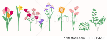 Flower bouquet.Spring and summer flowers, plants for decoration, blooming herbs isolated on white background.Hand drawn set.Vector illustration EPS 10 111615640