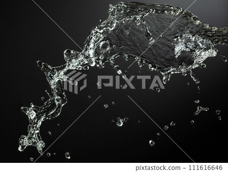 Water splash on the black background. 111616646