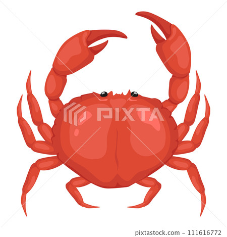 Sea crab, fresh seafood. 111616772