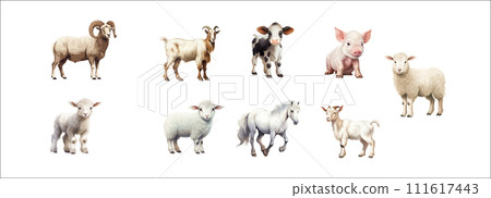 Vector Illustration Set of Various Farm Animals: Ram, Goat, Cow, Pig, Sheep, Lamb, Horses in Realistic Style Isolated Vector Illustration Set of Various Farm Animals: Ram, Goat, Cow, Pig, Sheep, Lamb, Horses in Realistic Style Isolated 111617443