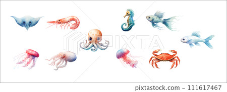 Colorful and Detailed Illustration of Various Sea Creatures Including Stingray, Shrimp, Octopus, Jellyfish, Seahorse, Fish Colorful and Detailed Illustration of Various Sea Creatures Including Stingray, Shrimp, Octopus, Jellyfish, Seahorse, Fish 111617467