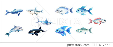 Realistic Vector Illustration of Various Marine Animals Including Whale, Shark, and Fish Realistic Vector Illustration of Various Marine Animals Including Whale, Shark, and Fish 111617468