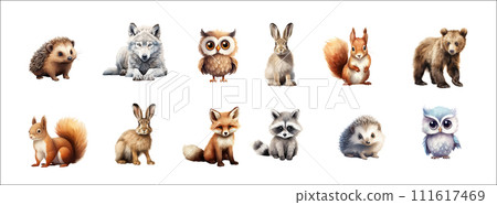 Realistic Vector Illustration of Twelve Woodland Animals in Various Poses Realistic Vector Illustration of Twelve Woodland Animals in Various Poses 111617469