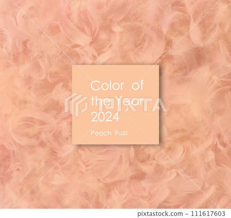 Color of the year 2024 Peach Fuzz 111617603