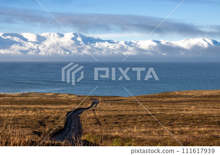 Autumn landscape with a snow mountains, North Iceland 111617939