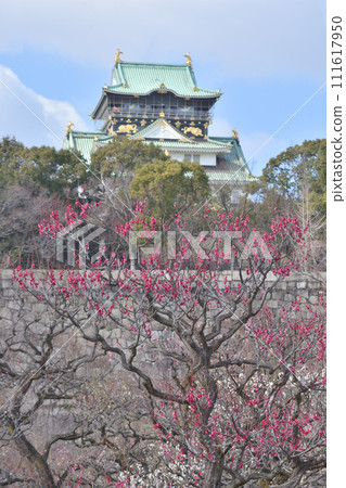 Plum Grove and castle tower of Osaka Castle Plum Grove and castle tower of Osaka Castle 111617950