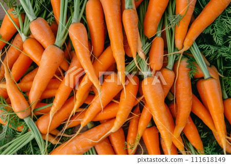 Texture background of fresh large organic orange carrots. Generative AI 111618149