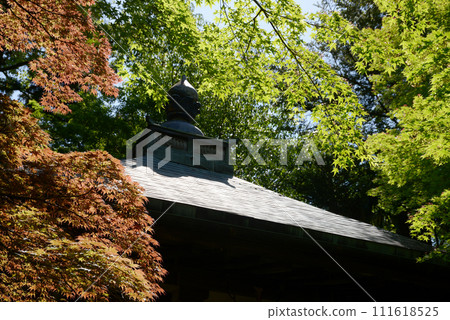 京都市西京區大原野金藏寺護摩堂屋頂 京都市西京區大原野金藏寺護摩堂屋頂 111618525