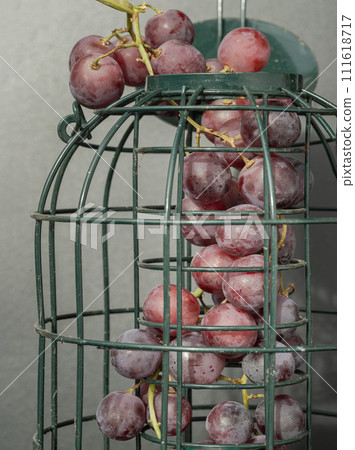 Bunch of Seedless grapes in a olive green cage on gray-green background. Bunch of Seedless grapes in a olive green cage on gray-green background. 111618717