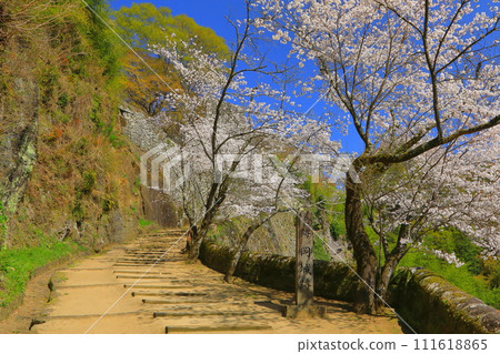 Spring Oka Castle Ruins (Taketa City) Spring Oka Castle Ruins (Taketa City) 111618865