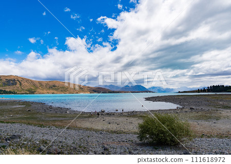 Lake Tekapo of New Zealand 111618972