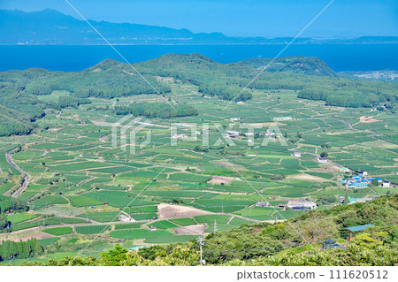 [大野山白樓展望台的風景] 鹿兒島縣南九州市榮長郡 111620512
