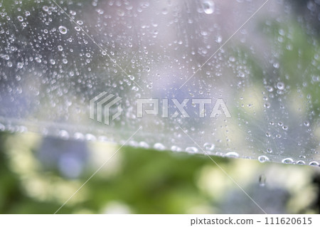 Rain image 111620615