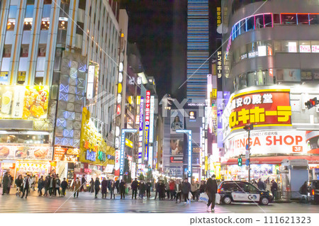 新宿夜景 新宿夜景 111621323