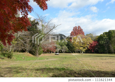 Daikakuji Temple in autumn, autumn leaves at Osawa Pond, Saga, Ukyo Ward, Kyoto City 111621344