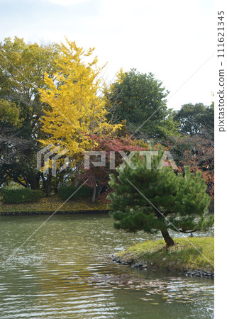 秋天的大覺寺,京都市右京區佐賀大澤池的秋葉 秋天的大覺寺,京都市右京區佐賀大澤池的秋葉 111621345