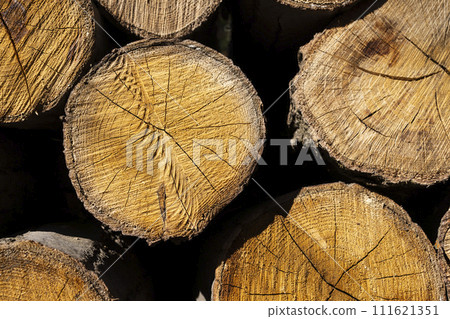 Stacked firewood 111621351