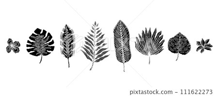Set of black linocut hand drawn textured tropical leaves and flowers, exotic plants. Vector block print monstera, palm, banana leaf, hibiscus for pattern, greeting card design, logo 111622273