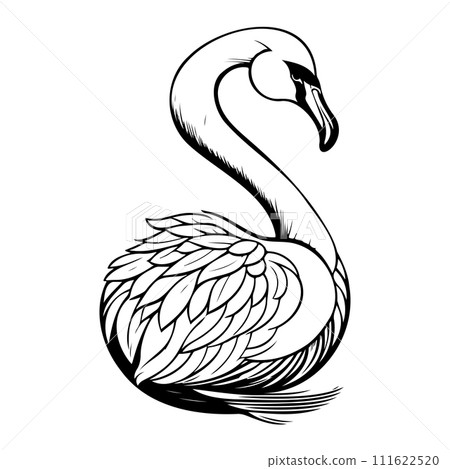 swan goose animal hand draw black colour logo symbol perfect. 111622520
