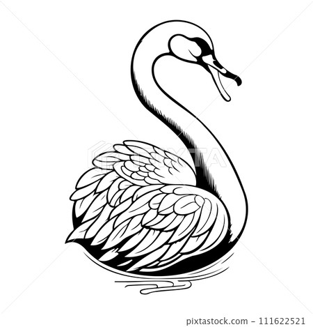 swan goose animal hand draw black colour logo symbol perfect. 111622521