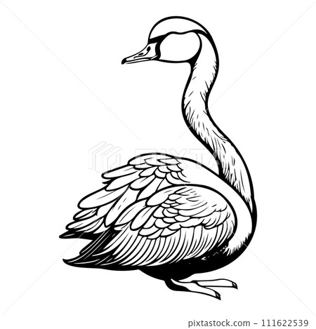 swan goose animal hand draw black colour logo symbol perfect. 111622539