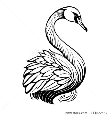 swan goose animal hand draw black colour logo symbol perfect. swan goose animal hand draw black colour logo symbol perfect. 111622557