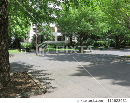 Park road Park road 111622681