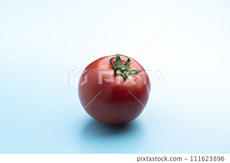 淺藍色背景中鮮紅的成熟西紅柿 111623896