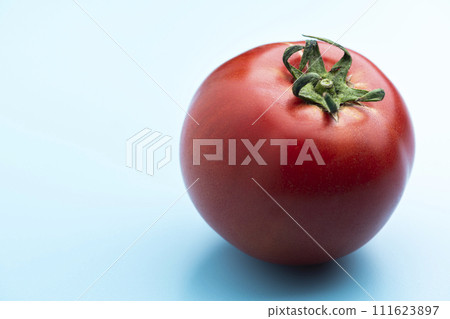 淺藍色背景中鮮紅的成熟西紅柿 111623897