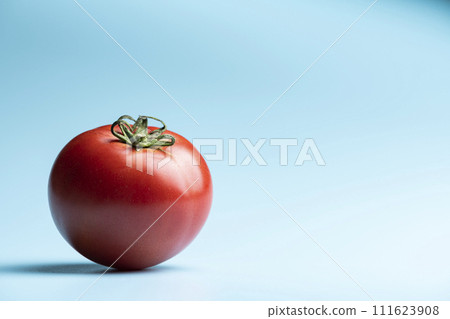 淺藍色背景中鮮紅的成熟西紅柿 111623908