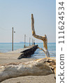 driftwood and pier 111624534