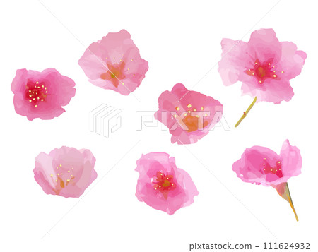 Hand-drawn style cherry blossom illustration set 111624932