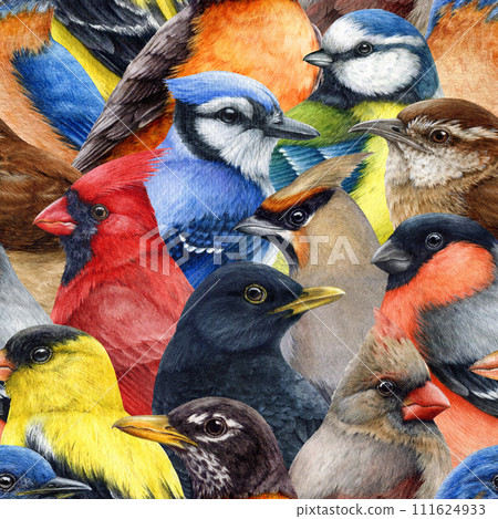 Backyard birds seamless pattern. Watercolor painted illustration decor. Hand drawn vintage style different forest birds decorative seamless pattern 111624933