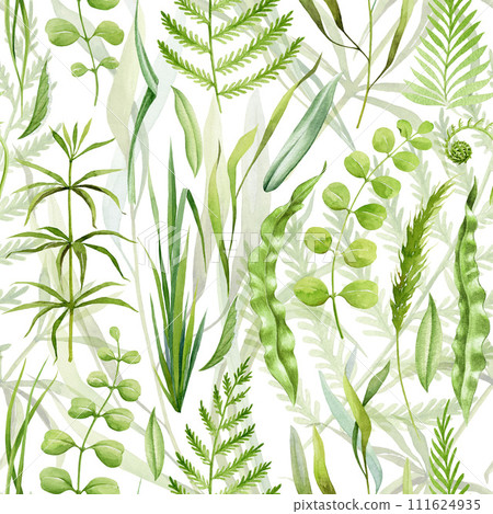 Green lush grass, fern leaves seamless pattern. Watercolor illustration. Hand drawn forest nature decor. Fern, grass, forest herbs, leaves seamless pattern. Lush greenery decor. White background 111624935