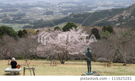 櫻花和愛宕山的景色,放鬆的背景,笠間市愛宕 櫻花和愛宕山的景色,放鬆的背景,笠間市愛宕 111625281