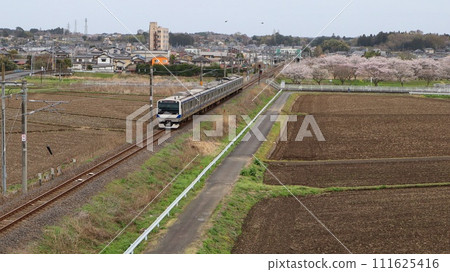 Nakamito Line train Kasama Station with cherry blossoms in bloom Nakamito Line train Kasama Station with cherry blossoms in bloom 111625416