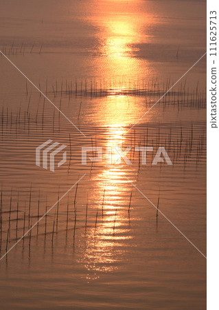 Seaweed cultivation in the calm Ariake Sea Seaweed cultivation in the calm Ariake Sea 111625713