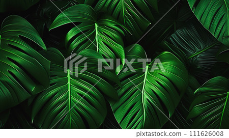 熱帶圖像龜背竹葉背景“AI 生成圖像” 熱帶圖像龜背竹葉背景“AI 生成圖像” 111626008