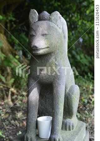 Fox stone statue (Funamori Inari Shrine/1-11 Higashiuraga, Yokosuka City, Kanagawa Prefecture) Fox stone statue (Funamori Inari Shrine/1-11 Higashiuraga, Yokosuka City, Kanagawa Prefecture) 111626453