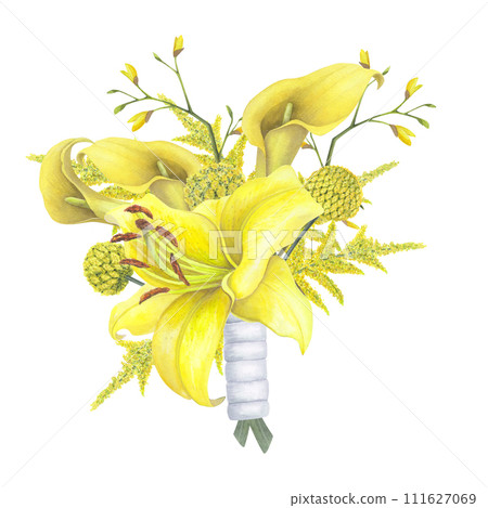 Lilies Yellow flower, calla lilies, craspedia, Solidago bouquet isolated on white background. Watercolor hand drawn botanic illustration. Art design wedding invitation, greeting card, decoration 111627069