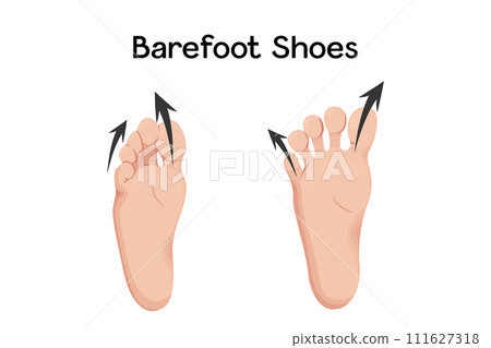 Compare feet before and after barefoot shoes vector illustration. 111627318