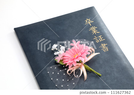 Diploma image Diploma image 111627362