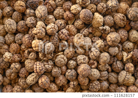 Dried seed herb spices, Amomum villosum Lour. Bustard cardamom, Tavoy cardamom,Zingiberaceae, Thai Asian dry herbal seasoning. Dried seed herb spices, Amomum villosum Lour. Bustard cardamom, Tavoy cardamom,Zingiberaceae, Thai Asian dry herbal seasoning. 111628157