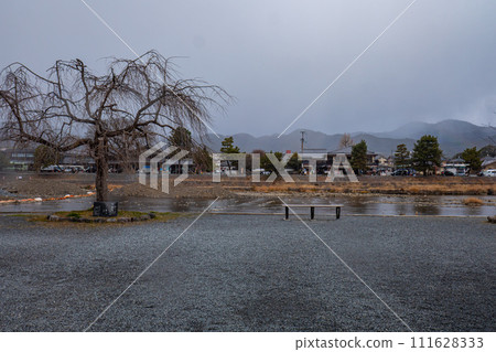 Quiet Arashiyama on a winter morning 111628333