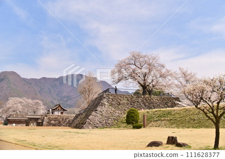 春天的松代城遺址：北無名門和乾櫓台 111628377