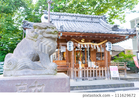Saitama Prefecture Kawagoe Kumano Shrine Saitama Prefecture Kawagoe Kumano Shrine 111629672