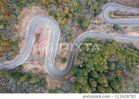 蜿蜒的道路 111629783